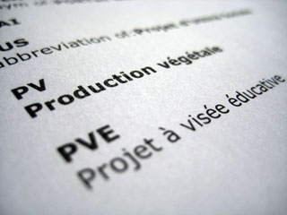 pve